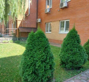 Фото 2. Коммерческая, продажа. Чубинское Выставочная