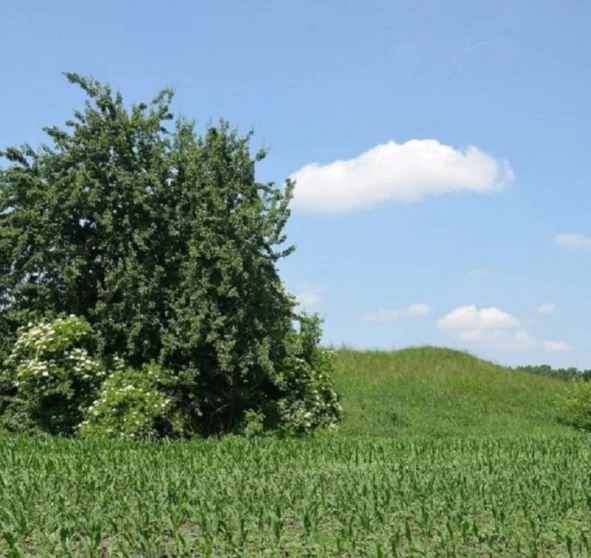 Zdjęcie 1. Działka, na sprzedaż. Pereiaslavske Райдужна