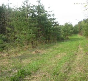 Фото 5. Участок, продажа. Евминка Луговая