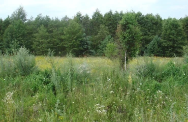 Фото Участок, продажа. Евминка Луговая