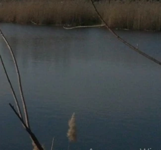 Фото 2. Участок, продажа. Мотыжен Луговая