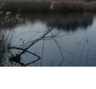 Фото 3. Участок, продажа. Мотыжен Луговая