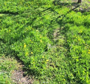 Фото 5. Участок, продажа. Сулимовка садовое товарищество - Сулимовское-1