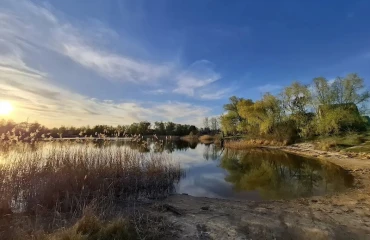 Фото Участок, продажа. Сулимовка садовое товарищество - Сулимовское-1