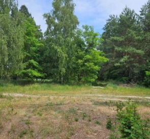 Fotografie 3. Teren, de vânzare. Pereviz Мира