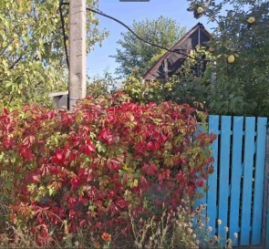 Foto 2. Terreno, en venta. Obukhiv садовое товарищество - Бытовик