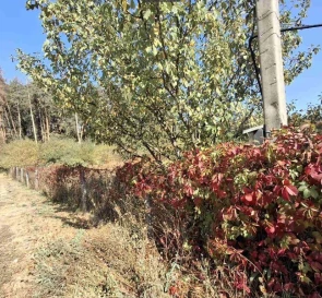 Foto 3. Terreno, en venta. Obukhiv садовое товарищество - Бытовик