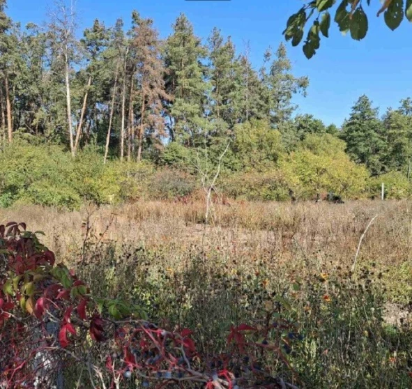 Foto 1. Terreno, en venta. Obukhiv садовое товарищество - Бытовик