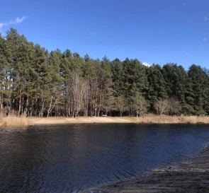 Фото 2. Ділянка, продаж. Переяслав-Хмельницкий садовое товарищество - Радуга