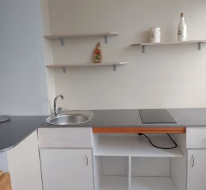 Photo 3. One-Room flat, to rent. Kyiv Дарницкий