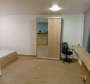 Photo 2. One-Room flat, to rent. Kyiv Дарницкий