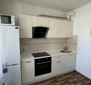 Photo 5. One-Room flat, to rent. Kyiv Дарницкий