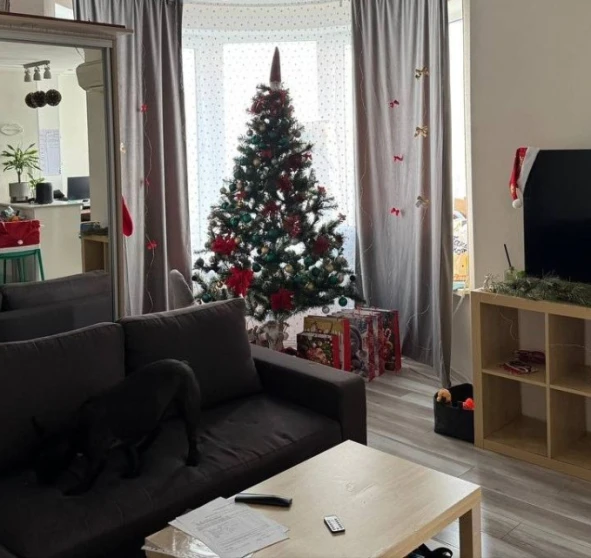 Photo 1. One-Room flat, to rent. Kyiv Дарницкий