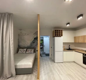 Фото 2. Однокомнатная квартира, аренда. Киев Дарницкий