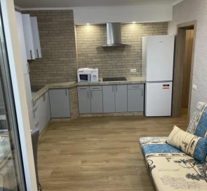 Photo 5. One-Room flat, to rent. Kyiv Дарницкий