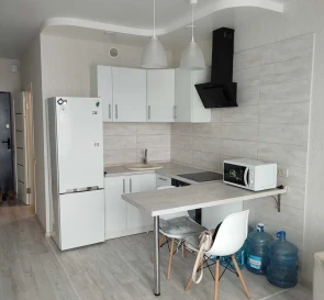 Фото 3. Однокомнатная квартира, аренда. Киев Дарницкий