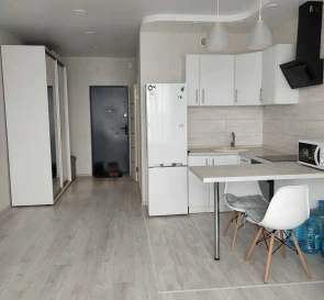 Фото 5. Однокомнатная квартира, аренда. Киев Дарницкий