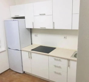 Фото 3. Однокімнатна квартира, оренда. Київ Дарницкий