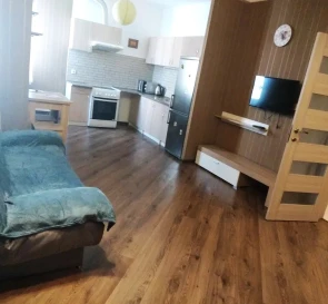 Фото 3. Однокомнатная квартира, аренда. Киев Дарницкий район, Вырлица