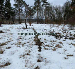 Фото 3. Участок, продажа. Ирпень Луговая