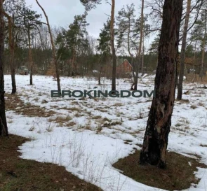 Фото 4. Участок, продажа. Ирпень Луговая