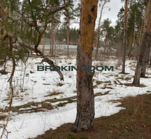 Фото 5. Участок, продажа. Ирпень Луговая