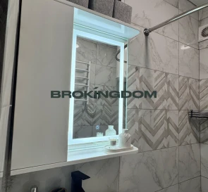 Photo 5. One-Room flat, for sale. Kyiv Shevchenkivskyi