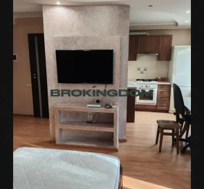 Photo 3. One-Room flat, for sale. Kyiv Shevchenkivskyi