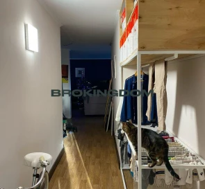 Фото 3. Однокімнатна квартира, продаж. Чайки Коцюбинського