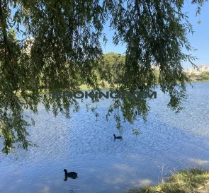 Foto 2. Tres Ambientes piso, en venta. Kyiv Дніпровський