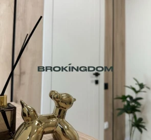 Фото 2. Однокомнатная квартира, продажа. Бровары