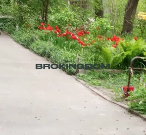 Фото 2. Трехкомнатная квартира, продажа. Киев Солом'янський