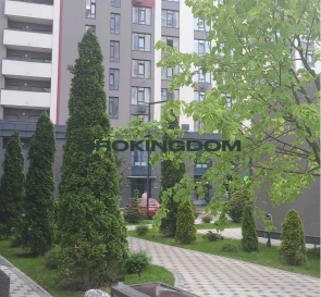 Photo 2. One-Room flat, for sale. Kyiv Солом'янський