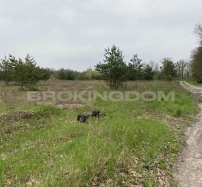 Foto 4. Terreno, en venta. Bucha Максима Залізняка