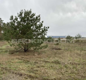 Foto 5. Terreno, en venta. Bucha Максима Залізняка