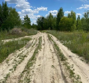 Фото 5. Участок, продажа. Козин Монашинська