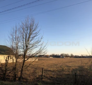 Фото 4. Участок, продажа. Наливайковка