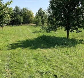 Фото 4. Дом, продажа. Бендюгивка