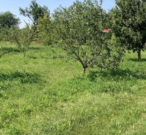 Фото 5. Дом, продажа. Бендюгивка