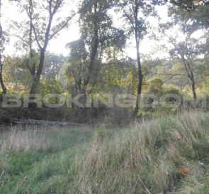 Фото 3. Участок, продажа. Иванковичи