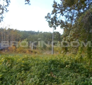 Фото 4. Участок, продажа. Иванковичи