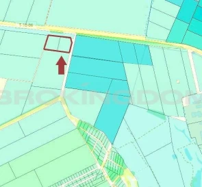 Фото 2. Участок, продажа. Крушинка