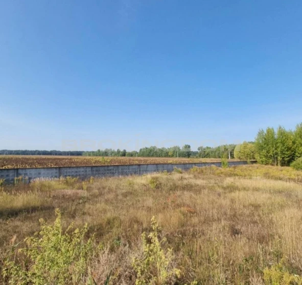 Фото 1. Ділянка, продаж. Путрівка