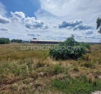 Photo 2. Lot, for sale. Novi Petrivtsi