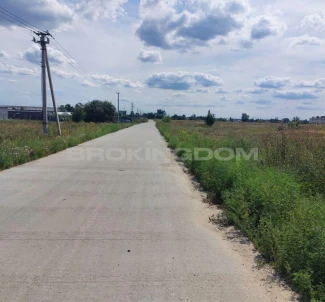 Photo 3. Lot, for sale. Novi Petrivtsi