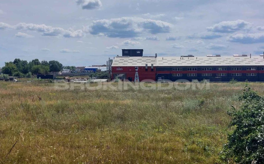 Photo 1. Lot, for sale. Novi Petrivtsi