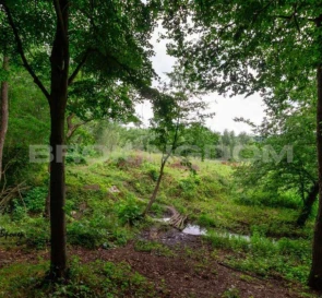 Фото 3. Участок, продажа. Хотов