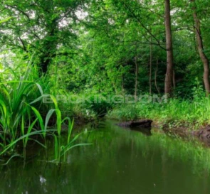 Фото 4. Участок, продажа. Хотов