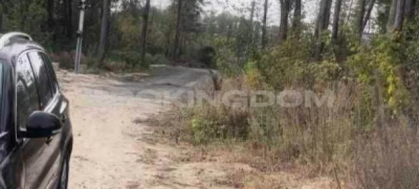 Фото 3. Участок, продажа. Вита-Почтовая