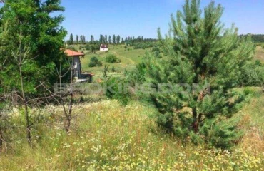 Фото Участок, продажа. Музичи Проекторна